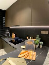 Hyll On Holland (D10), Condominium #440215361